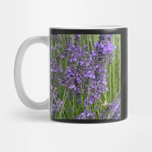 Rest Your Weary Head in a Fragrant Lavender Field Mug